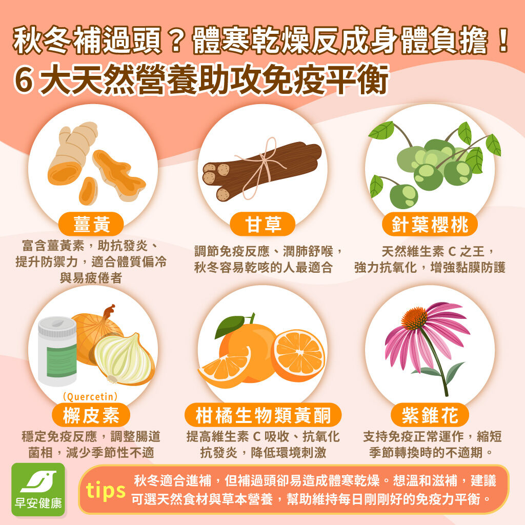 從「免疫平衡」出發 ──入冬保養之道，不只提升免疫力，更要防止過度反應