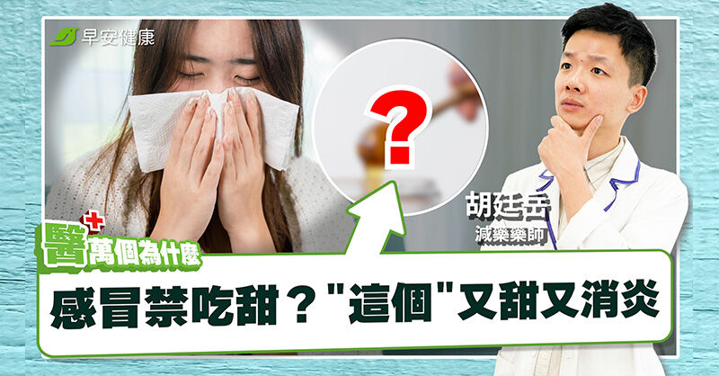 影片預覽