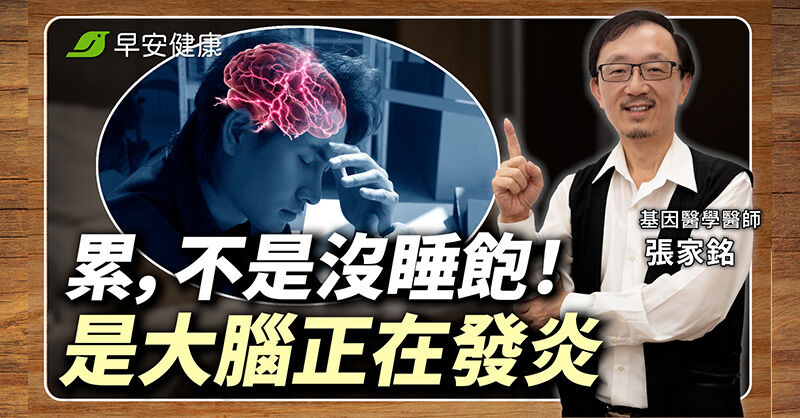 影片預覽