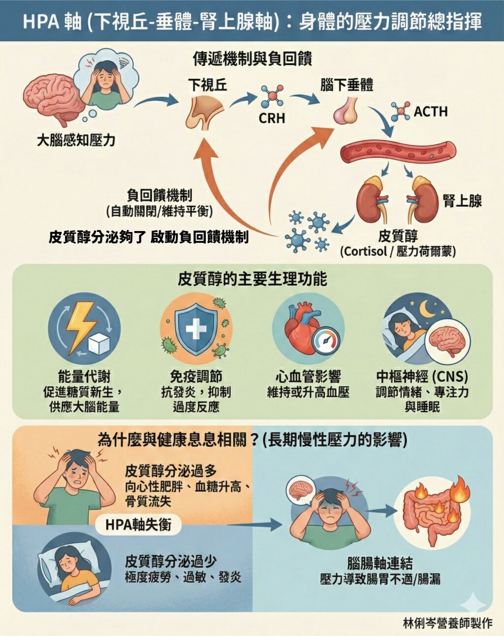 林俐岑營養師_壓力荷爾蒙_腎上腺疲勞