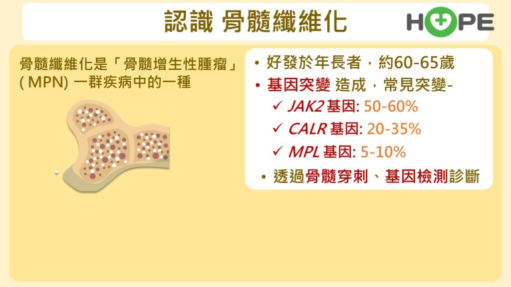 癌症希望基金會_骨髓纖維化