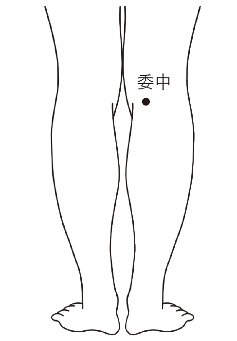 委中穴