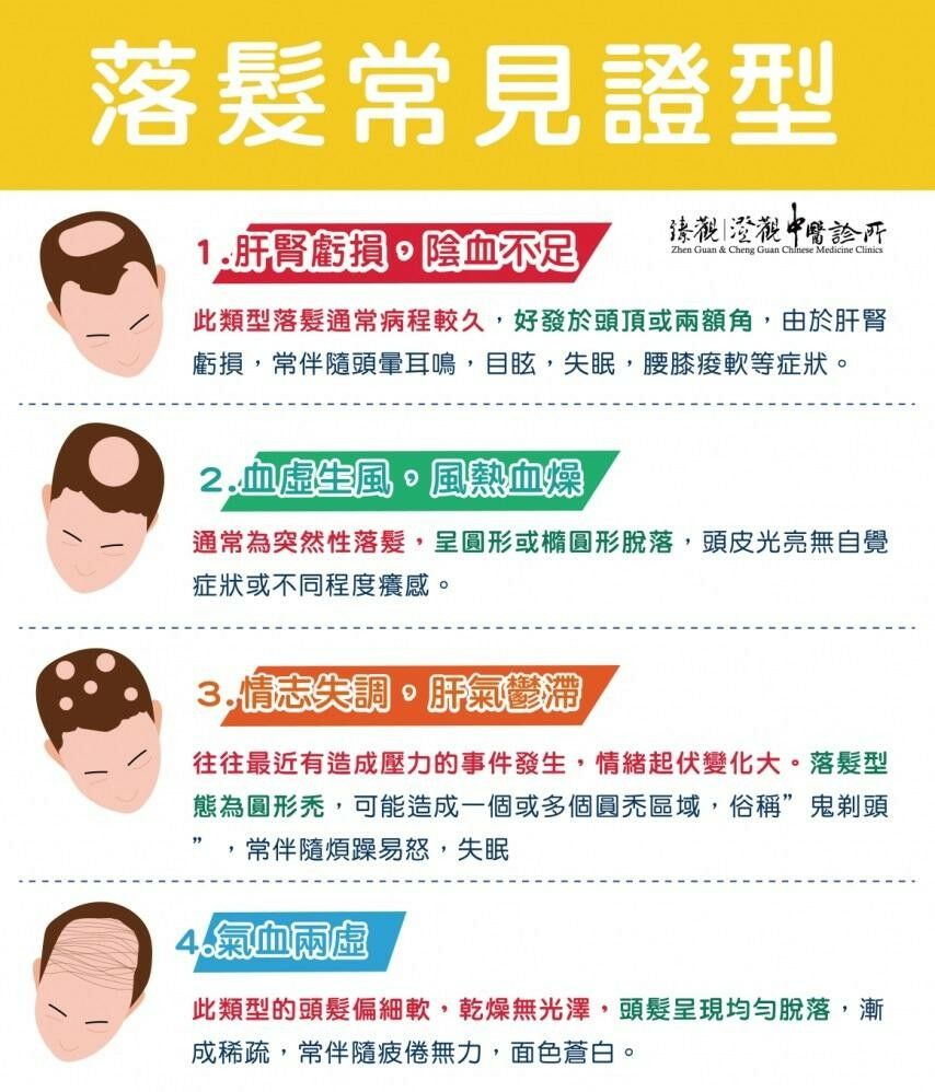 澄品中醫陳詩潔醫師_落髮常見證型