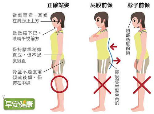 早安健康_正確站姿範例