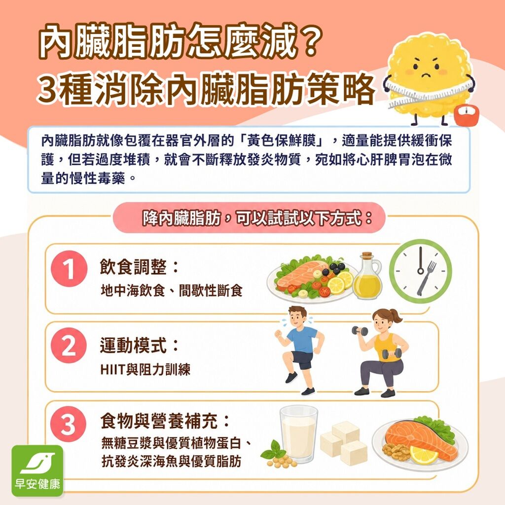 內臟脂肪-減內臟脂肪-消滅內臟脂肪-消除內臟脂肪策略-消內臟脂肪飲食-降內臟脂肪運動