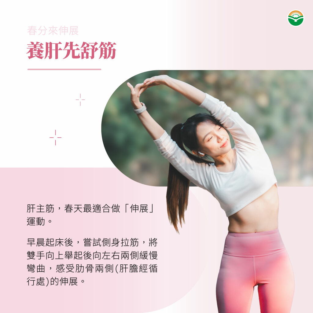 馬光＿春分＿伸展運動：拉開肝膽經