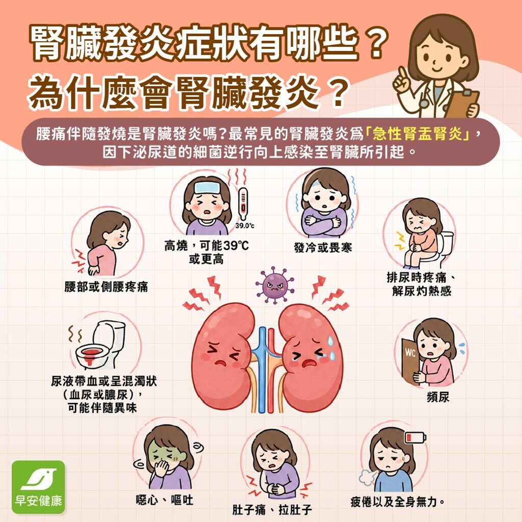 腎臟發炎症狀