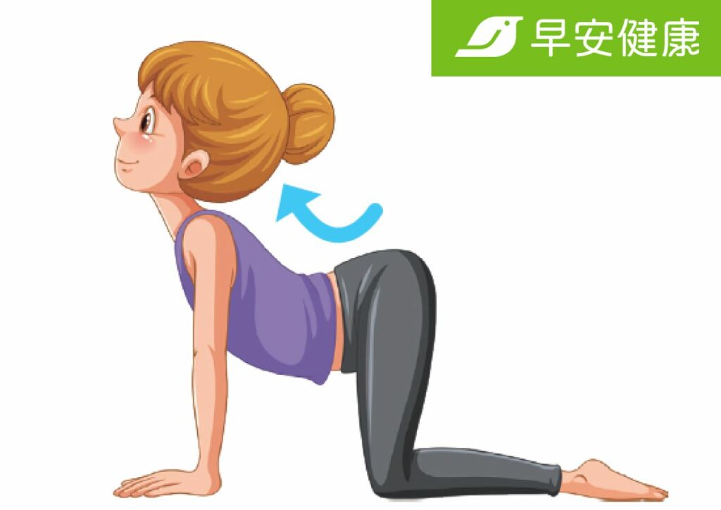 貓牛式_牛式_早安健康