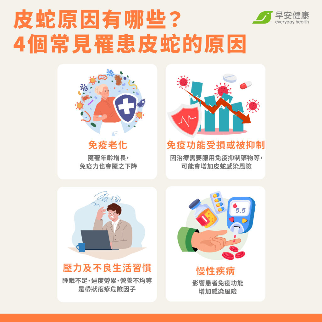 免疫力下降、壓力大或慢性病患者,都可能成為皮蛇的高風險族群,建議及早預防!
