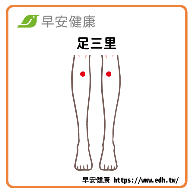 早安健康_足三里穴道