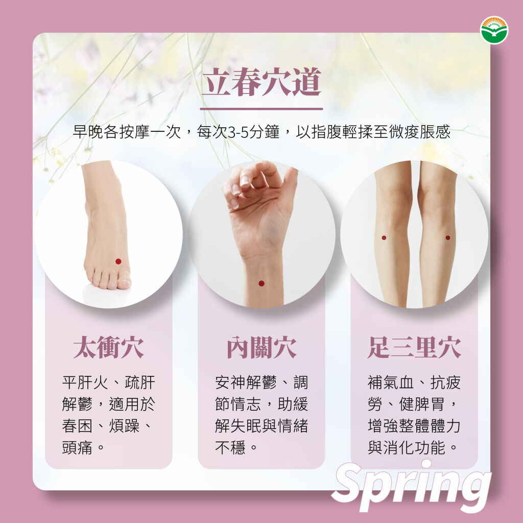 馬光中醫_立春穴道