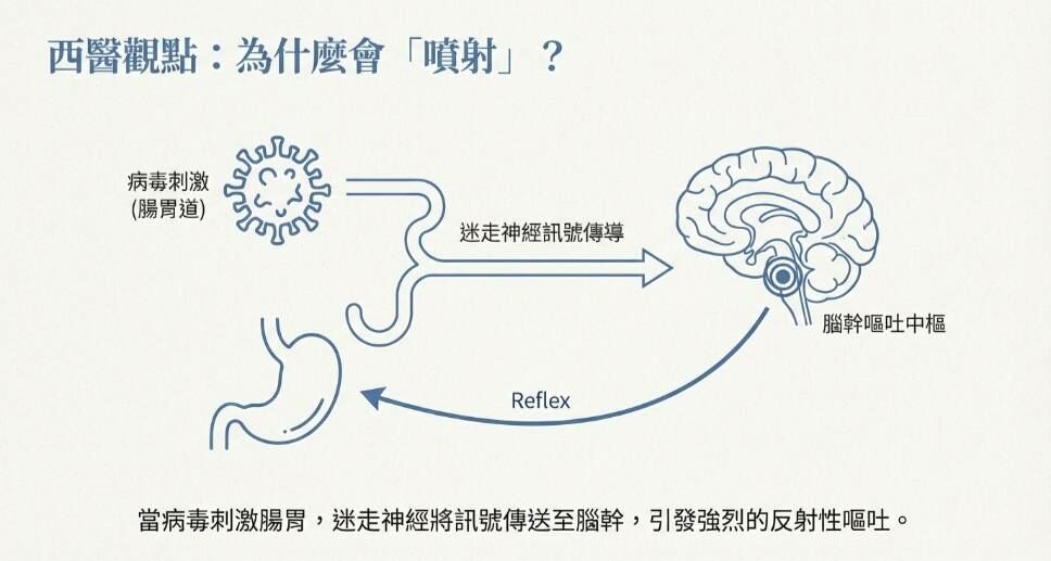 余雅雯中醫師＿為什麼得諾羅會噴射性嘔吐？西醫觀點