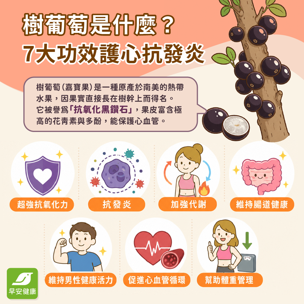 樹葡萄營養-樹葡萄功效與好處