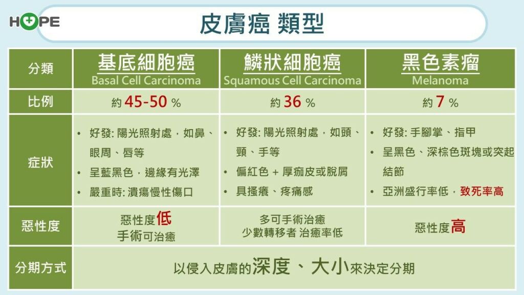 癌症希望基金會＿皮膚癌類型