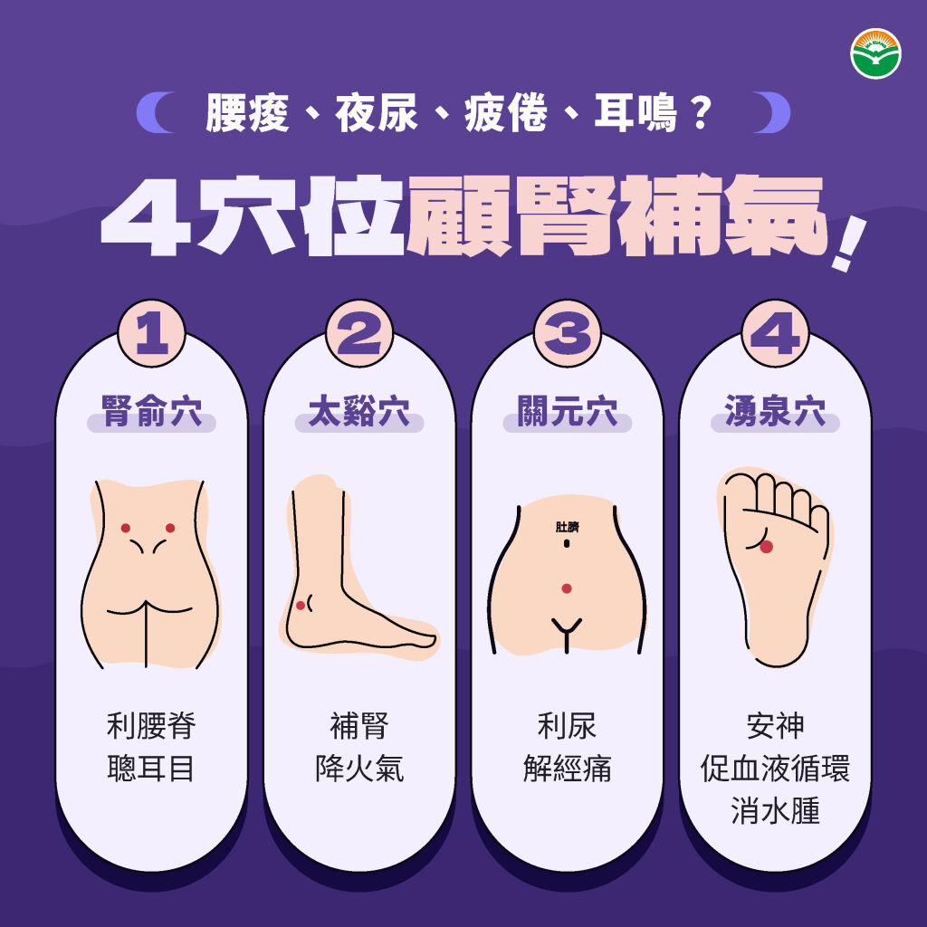 馬光中醫_4穴位顧腎補氣