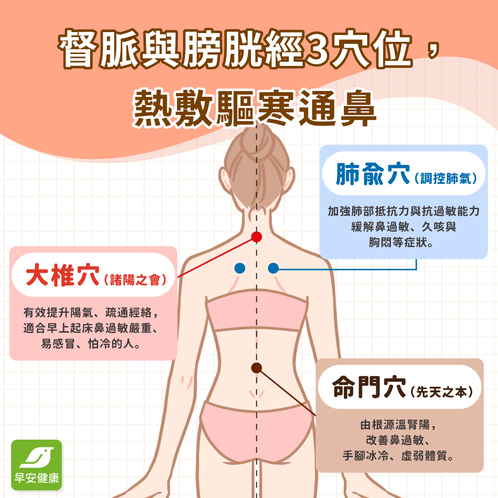 督脈與膀胱經3穴位熱敷祛寒通鼻