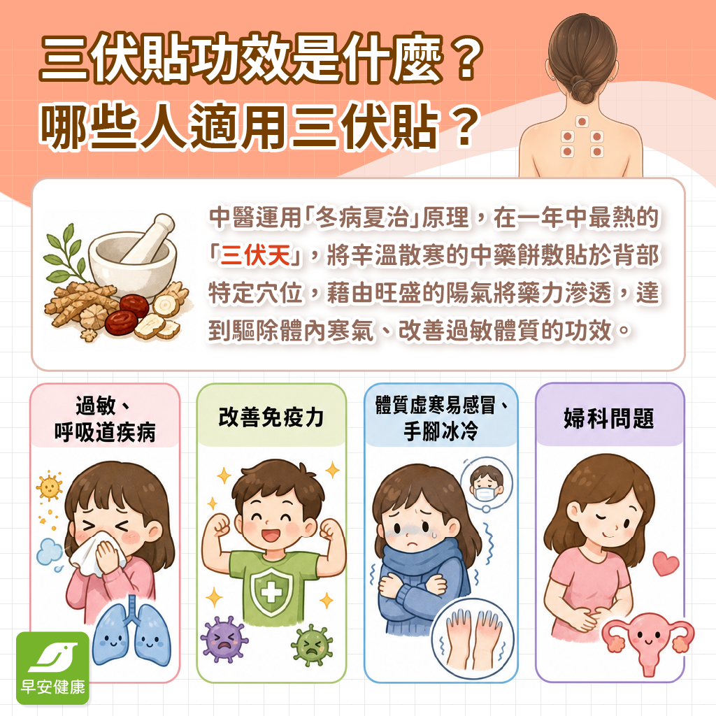 三伏貼-三伏貼功效-三伏貼是什麼-三伏貼原理
