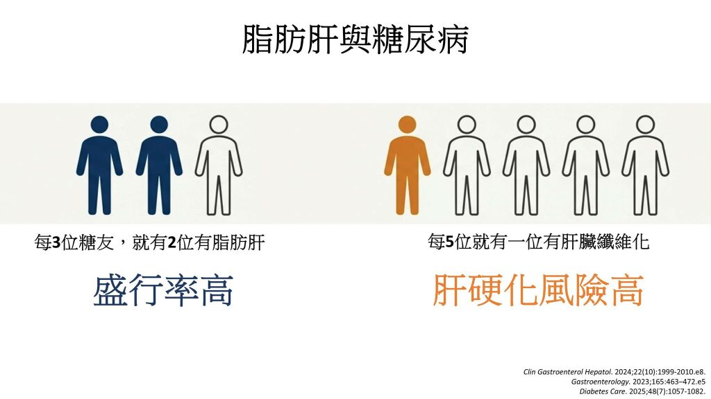 邱筱宸醫師_脂肪肝與糖尿病息息相關