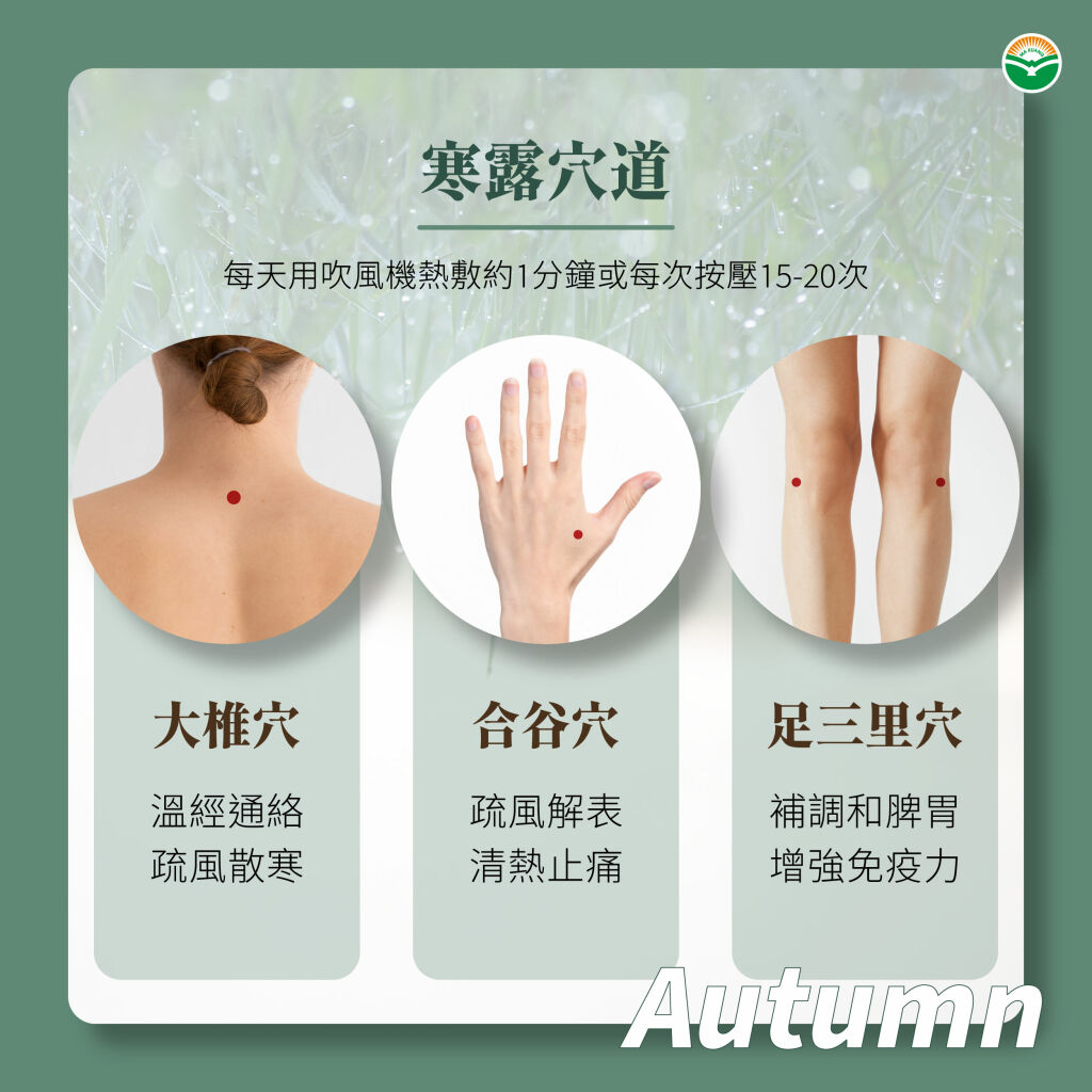 馬光中醫＿寒露保健穴道