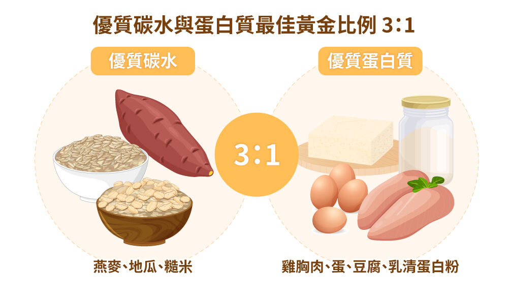 黃金比例碳水蛋白