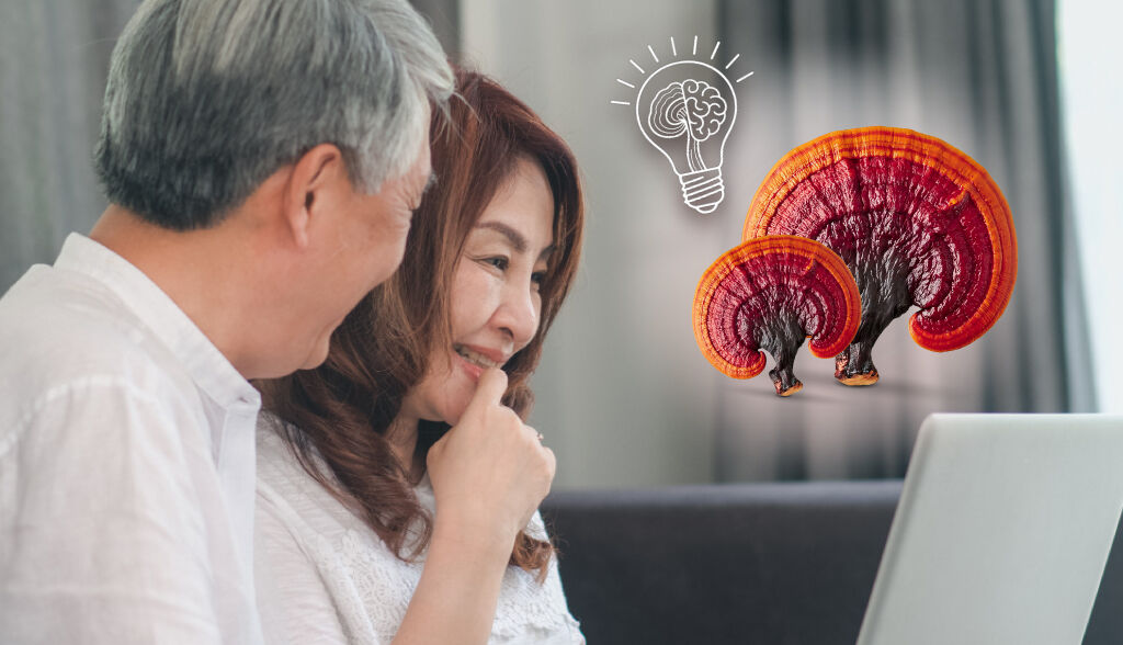 延緩大腦老化食補解方：靈芝多醣體3大護腦機制