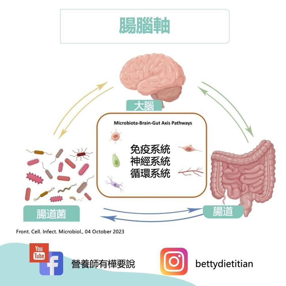  簡鈺樺營養師_腸腦軸_腸道壞菌影響大腦