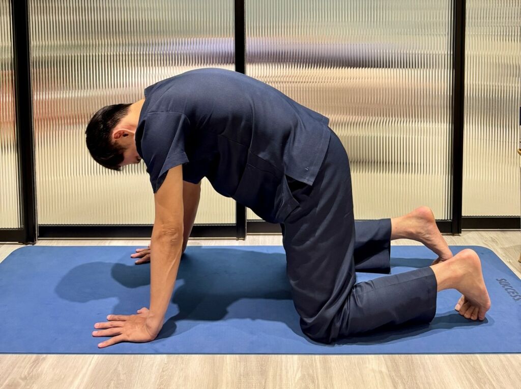 蔡宗恩物理治療師＿貓牛式