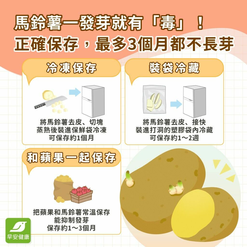 馬鈴薯發芽-馬鈴薯發芽保存-馬鈴薯保存
