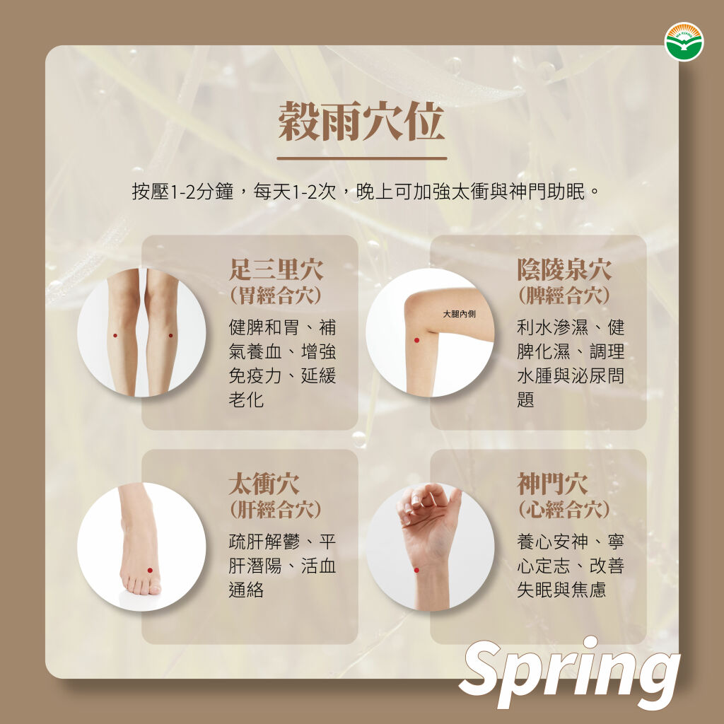 馬光中醫＿穀雨穴位