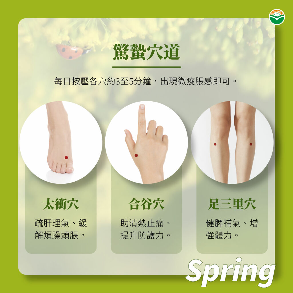 馬光中醫_驚蟄_穴道