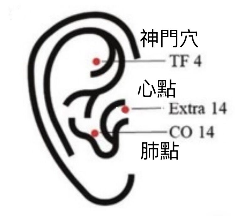自助安定神經的3大耳穴