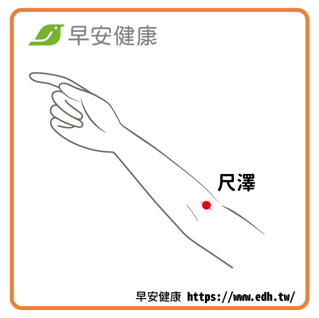 尺澤穴