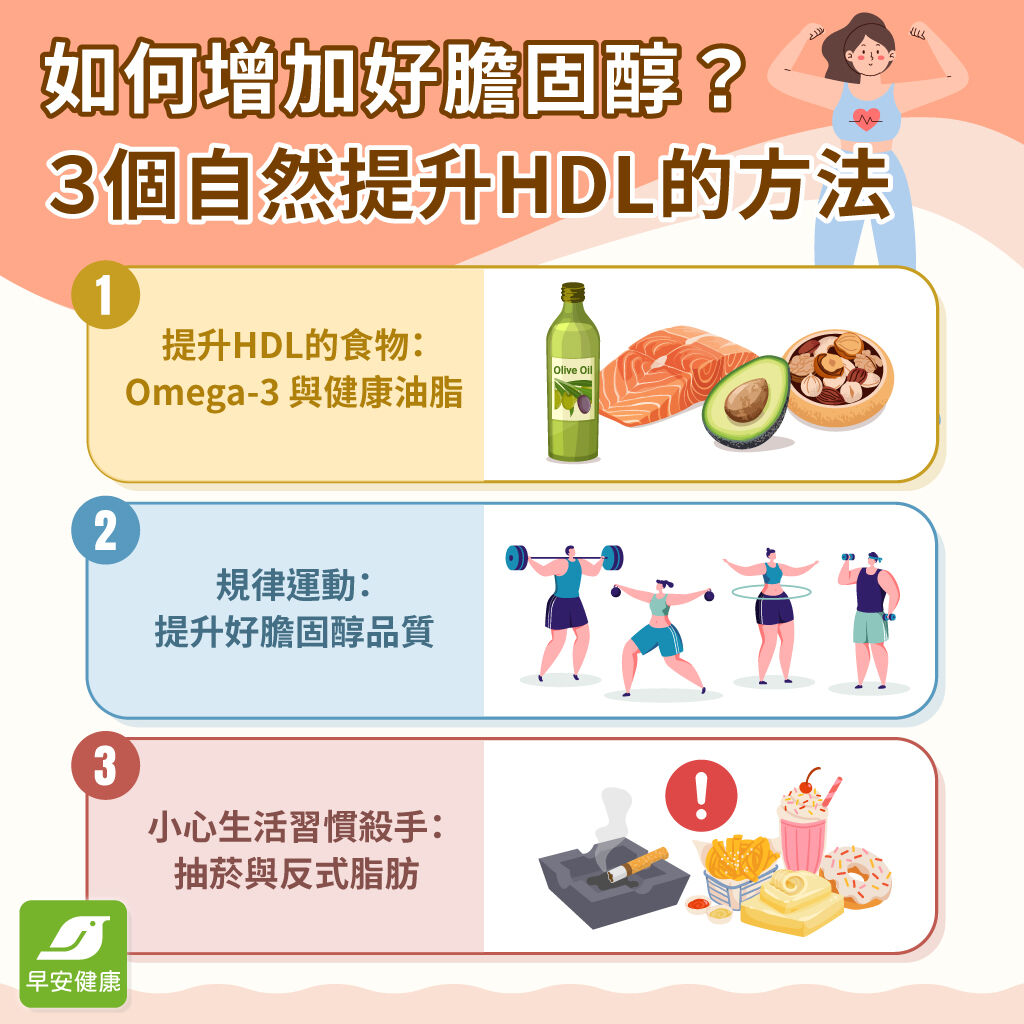 早安健康_如何增加好膽固醇？　3個自然提升HDL的方法