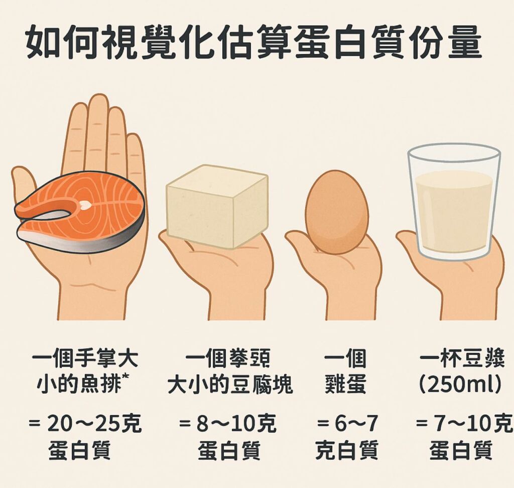 劉博仁營養功能醫學專家_視覺化估算蛋白質