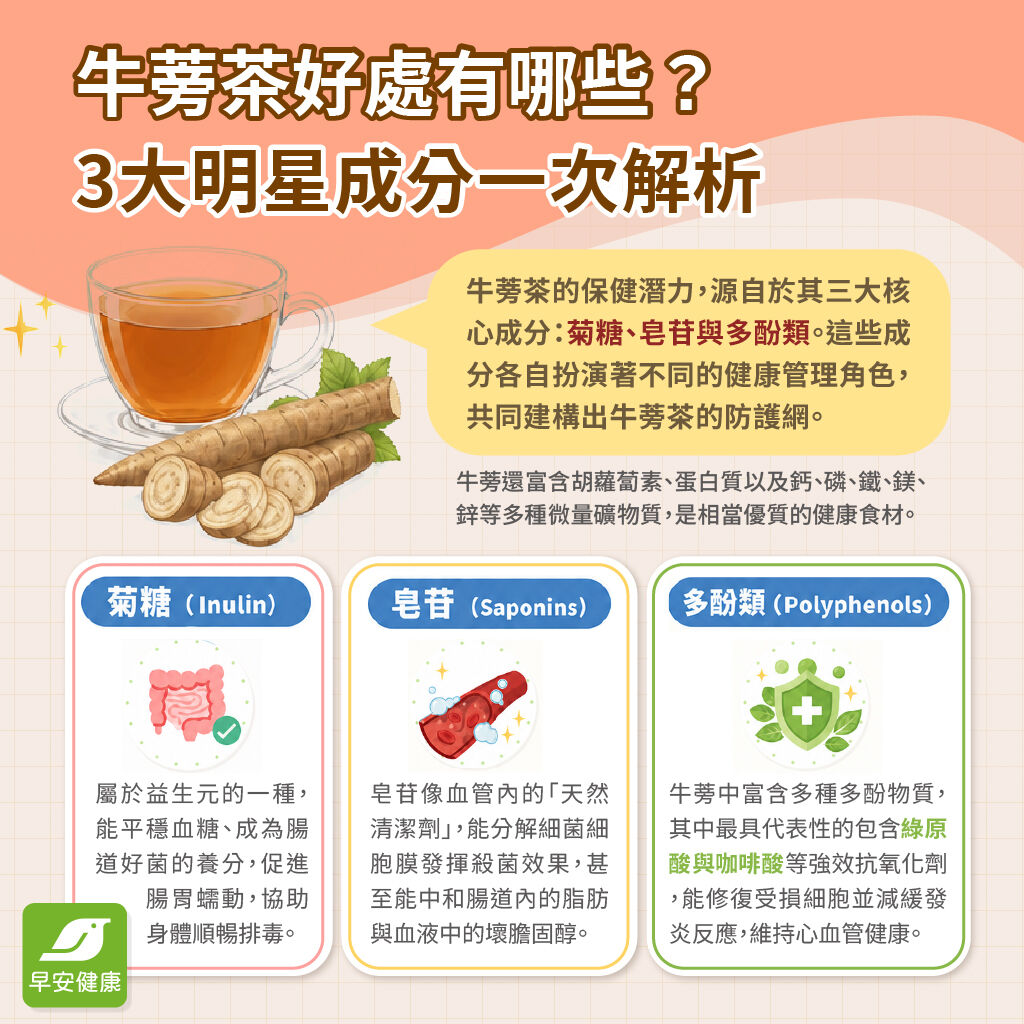 早安健康_牛蒡茶好處有哪些？三大明星成分解析