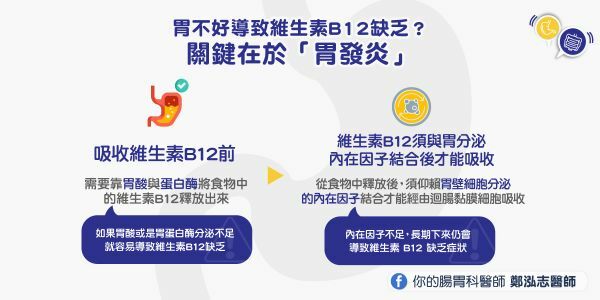 胃不好導致維生素B12缺乏?鄭泓志醫師