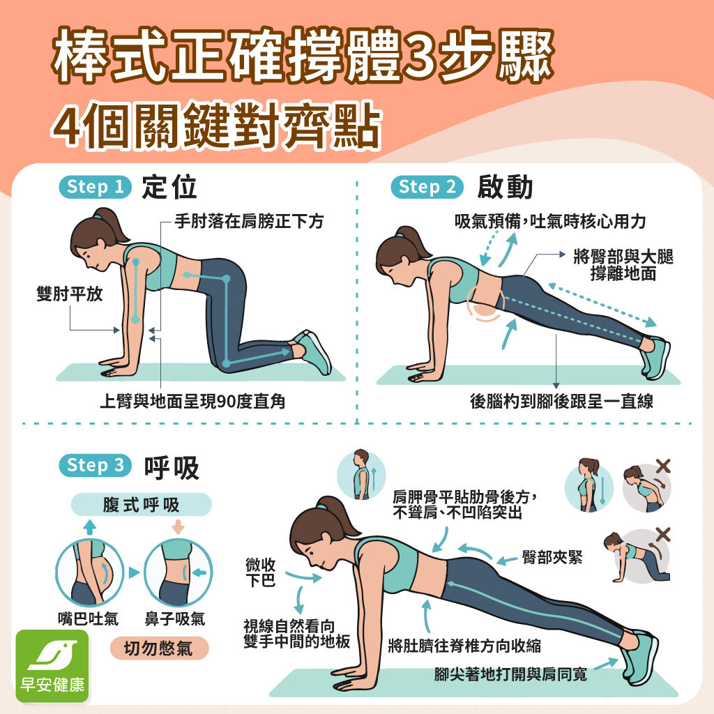 棒式-棒式正確動作-平板撐