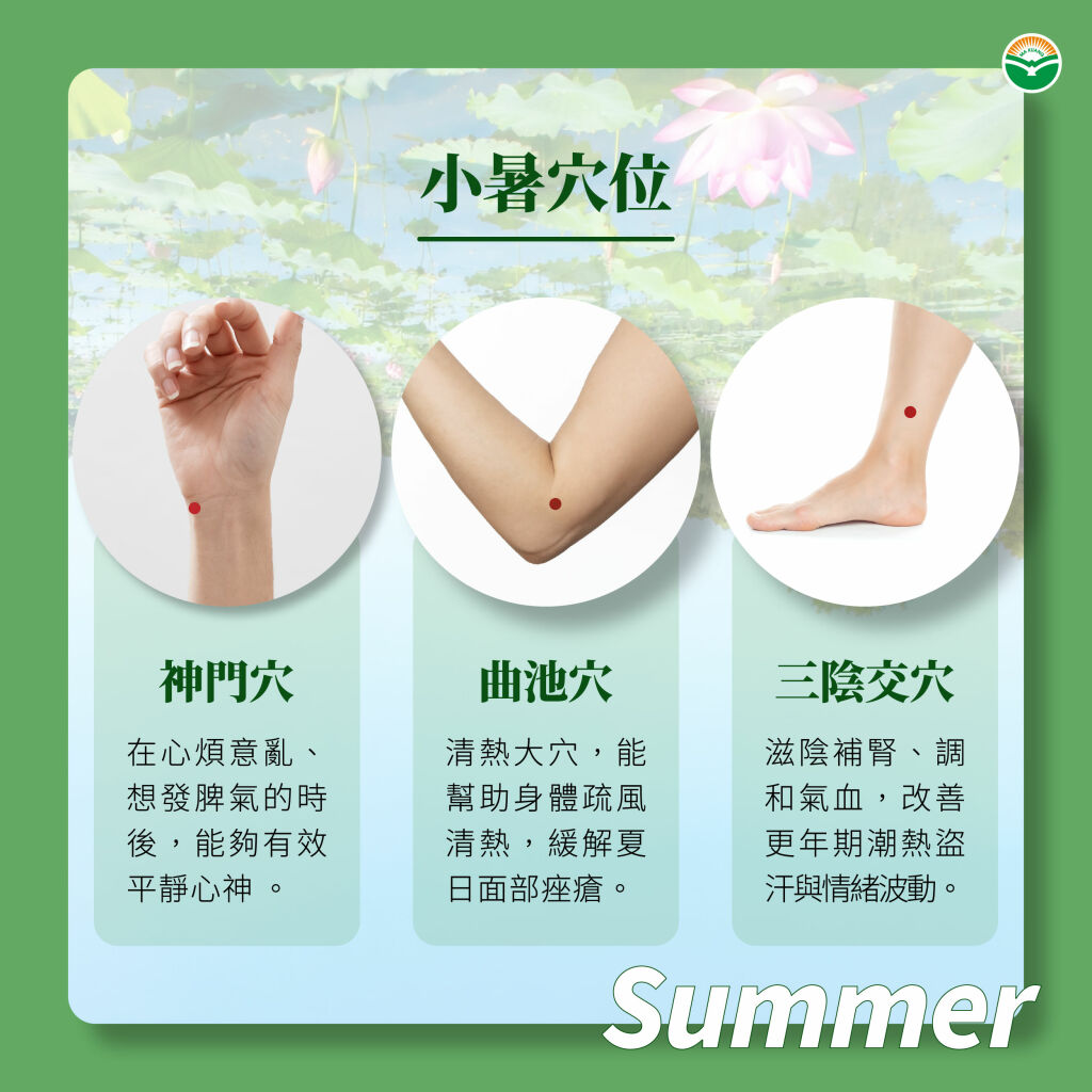 馬光＿小暑穴位