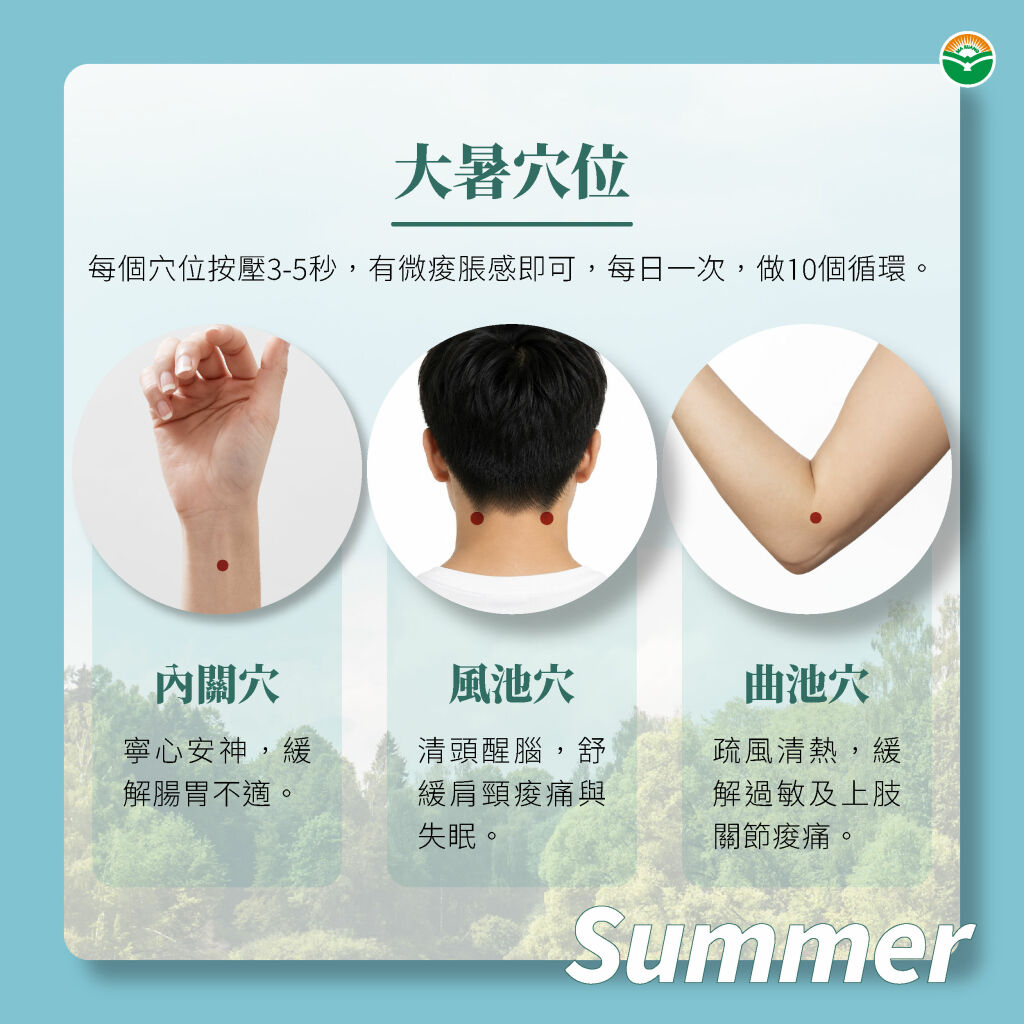 馬光中醫＿大暑＿穴道穴位