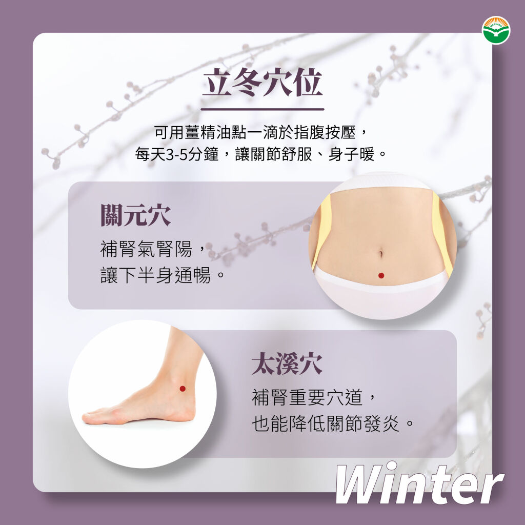 馬光中醫_立冬穴道
