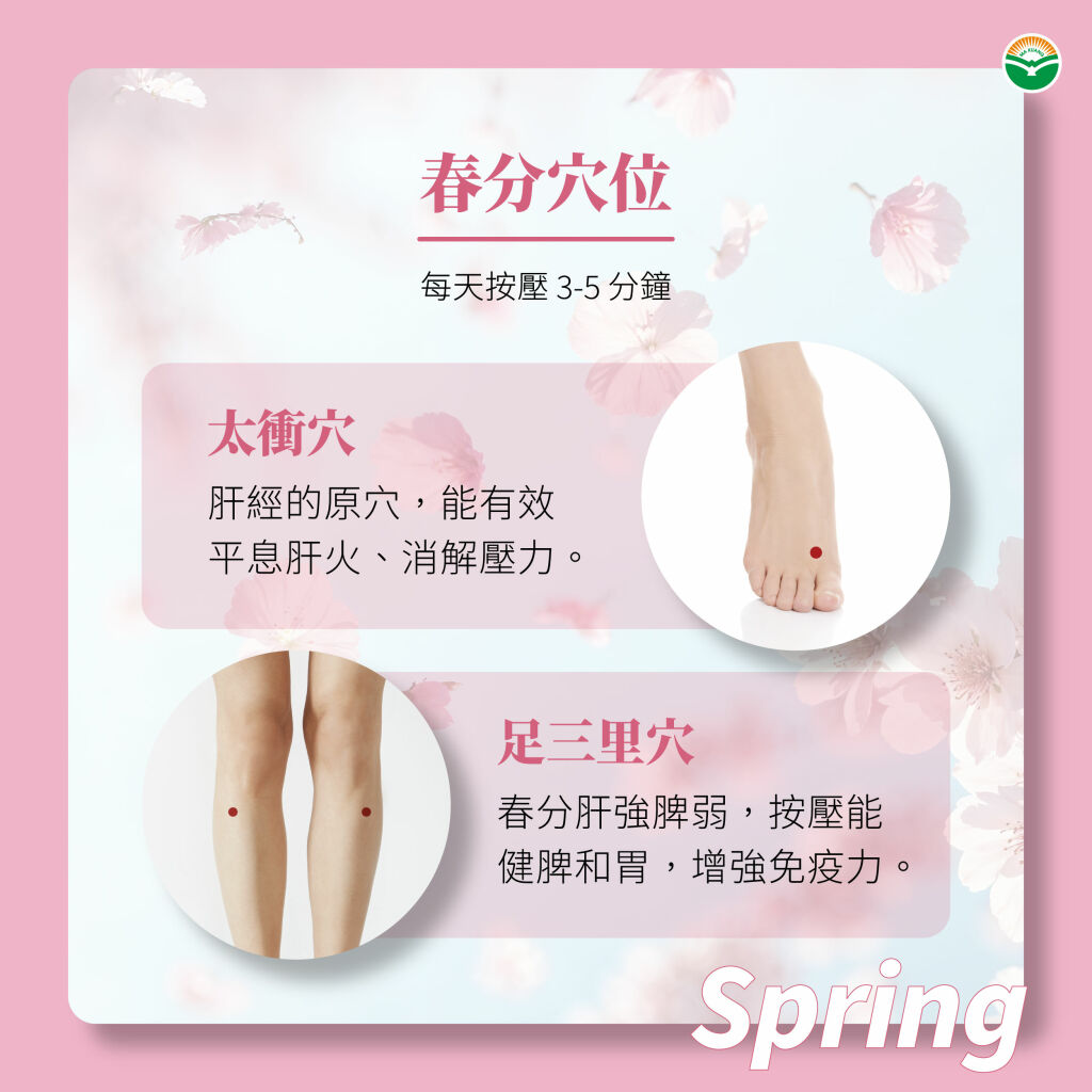 馬光＿春分＿ 穴道保養：按壓「太衝」與「足三里」