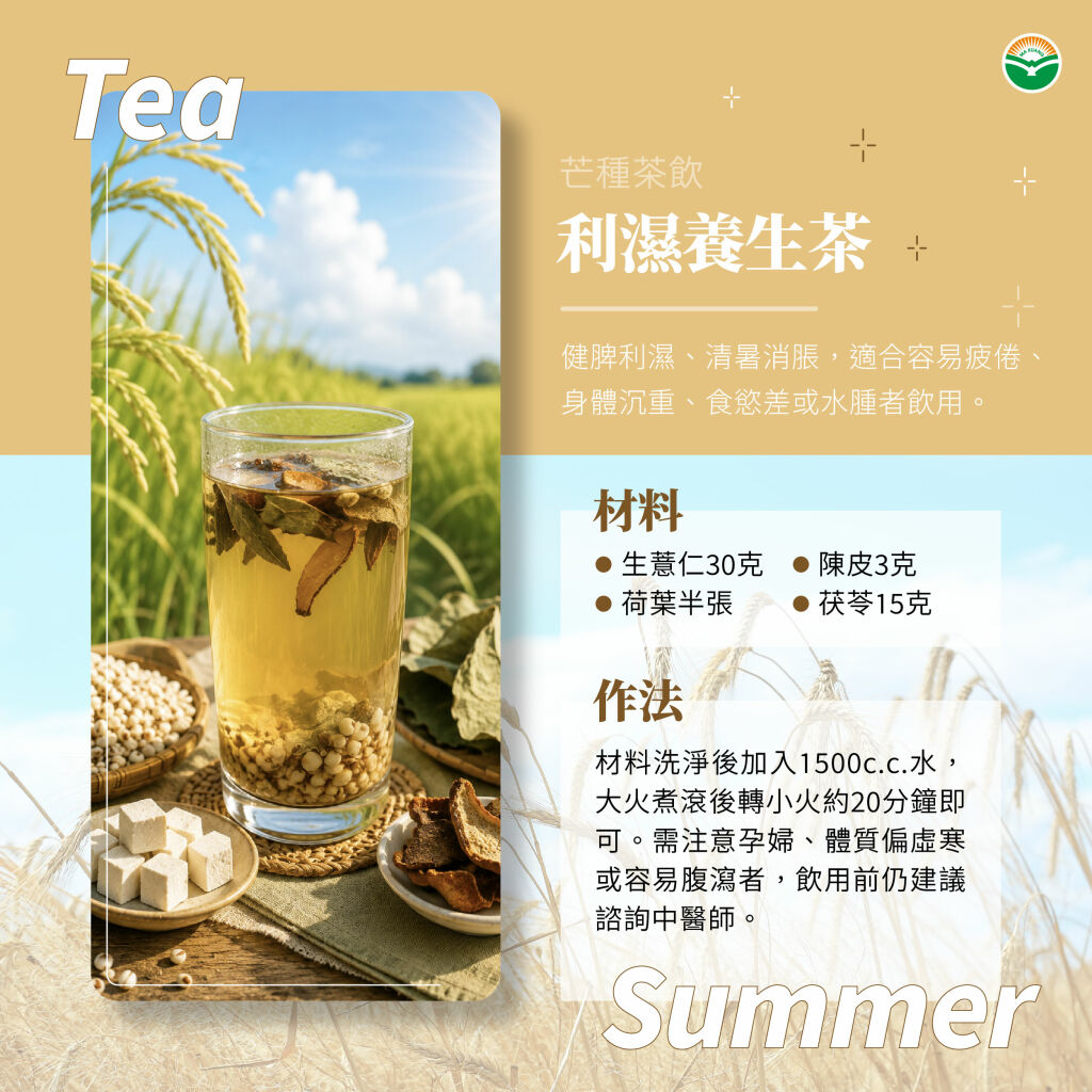 馬光中醫_芒種利濕養生茶