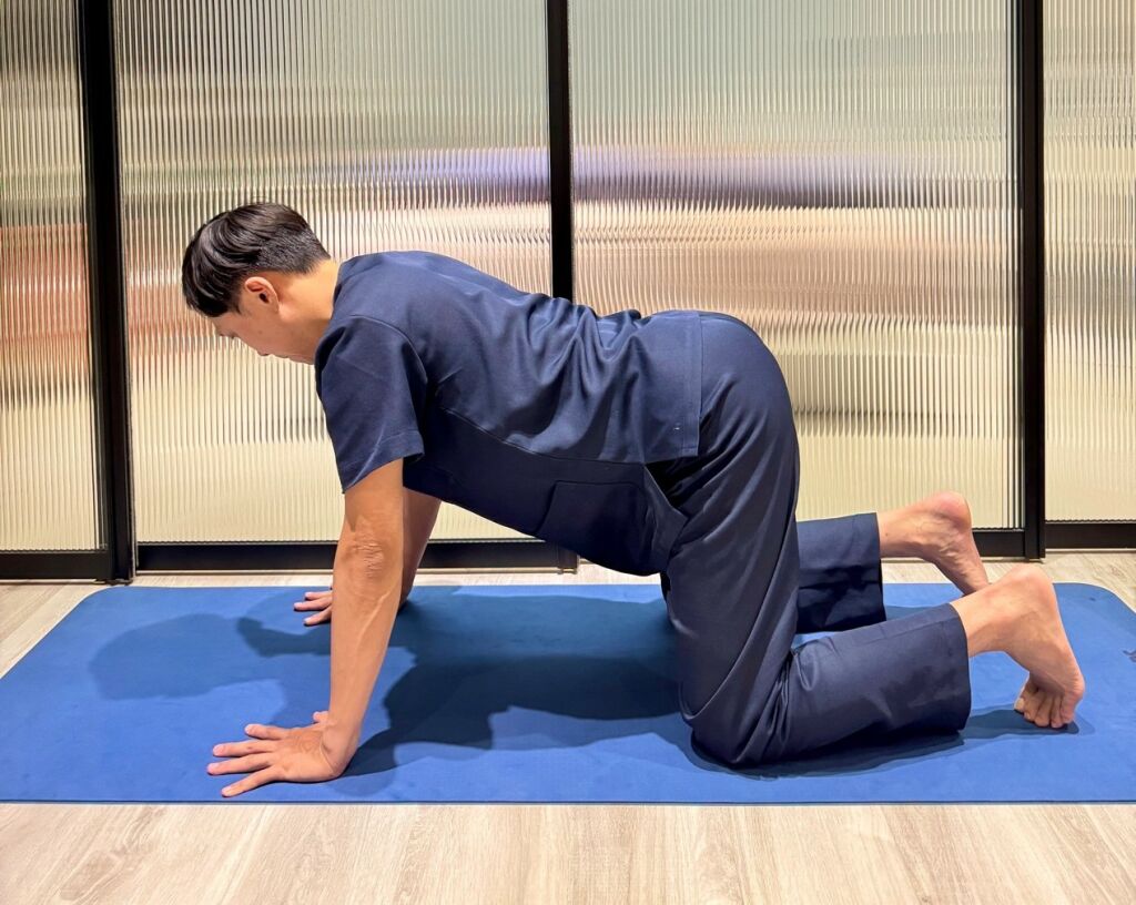 蔡宗恩物理治療師＿貓牛式